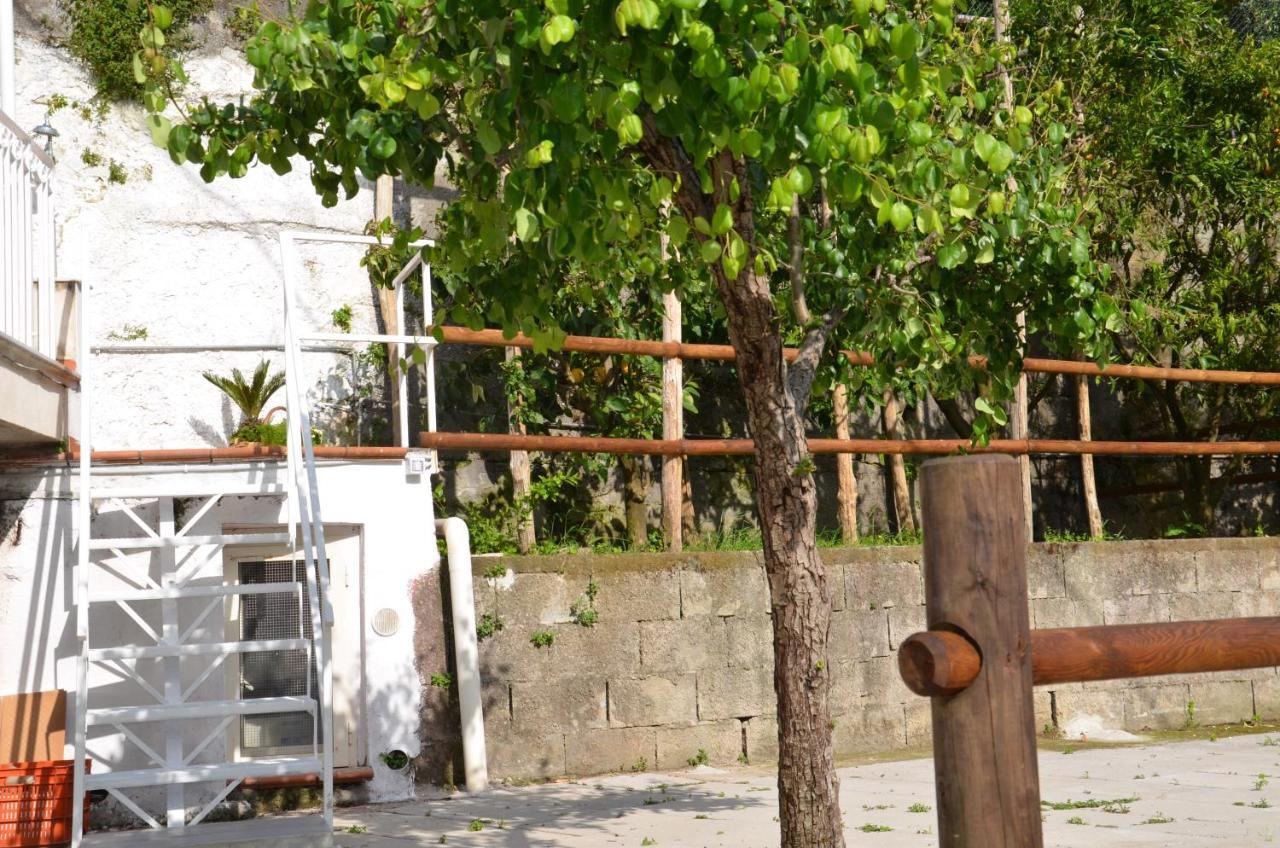 סן אנג'לו Villa Luciana מראה חיצוני תמונה